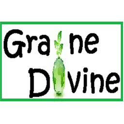 Graine divine (Togo)